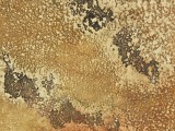 Faux & Texturing